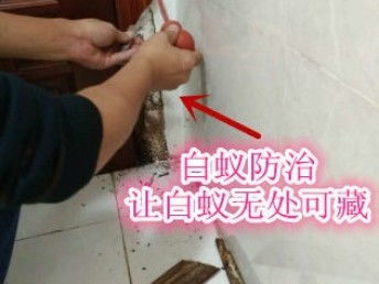 深圳專業保潔與除蟲服務 工廠、商店、展廳的全方位清潔解決方案